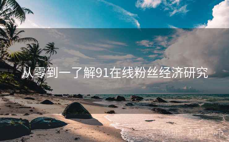 从零到一了解91在线粉丝经济研究
