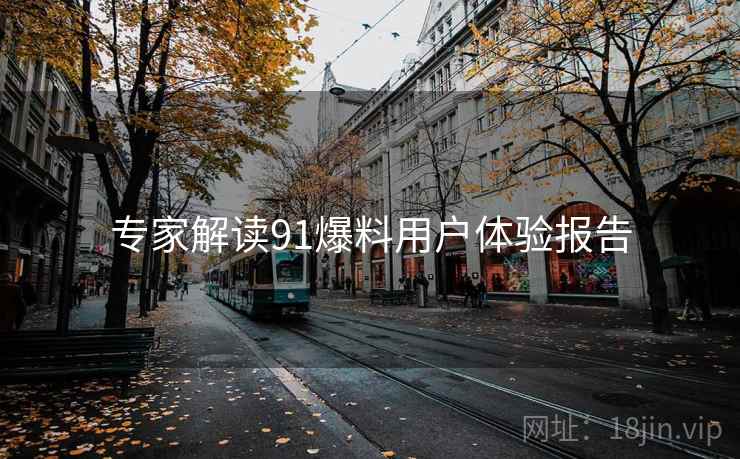 专家解读91爆料用户体验报告