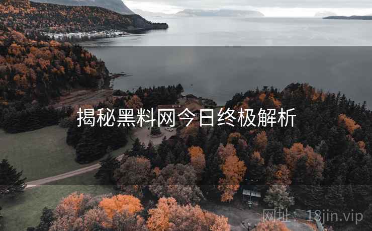 揭秘黑料网今日终极解析