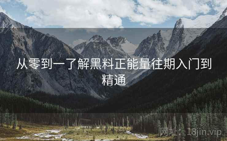 从零到一了解黑料正能量往期入门到精通