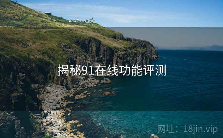 揭秘91在线功能评测